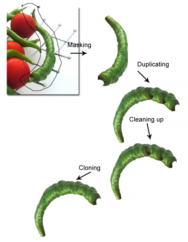 Creation of Life Fruit: Step 1